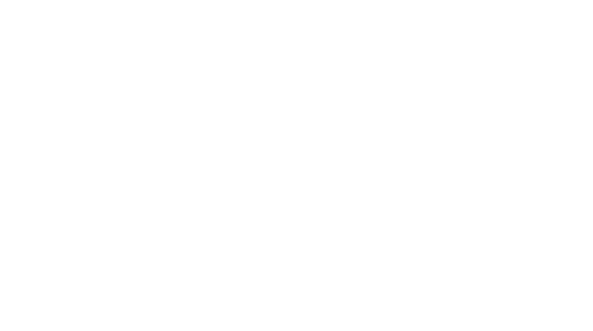 ruudvdhorst logo